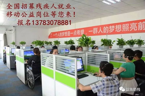 數(shù)字賦能，共創(chuàng)未來 電子商務(wù)為殘疾人群體帶來的新機遇與信息咨詢服務(wù)支持